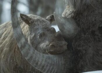 NÃO PERCA! “Prehistoric Planet: Ice Age” com Tom Hiddleston estreia em 2025