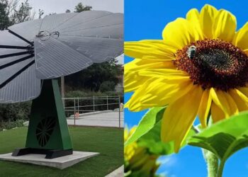 5 TECNOLOGIAS INOVADORAS que se Inspiraram na NATUREZA em 2025!