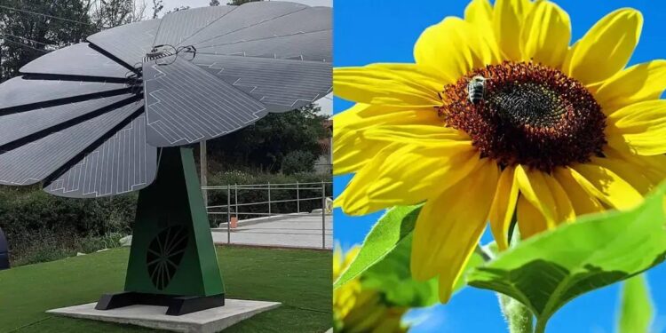 5 TECNOLOGIAS INOVADORAS que se Inspiraram na NATUREZA em 2025!