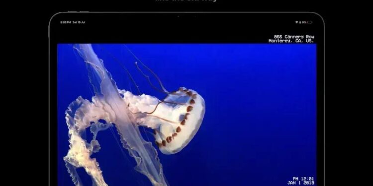 Você sabia que seu celular transforma vídeos em estilo VHS?