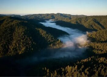 A Apple está INVESTINDO em conservação! O que você precisa saber?