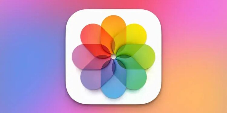 QUER SABER COMO VERIFICAR A SUA FOTOTECA NO MAC?