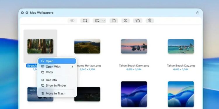 SAIBA TUDO sobre o novo Folder Preview Pro e seus recursos em 2025! 1 SAIBA TUDO sobre o novo Folder Preview Pro e seus recursos em 2025!